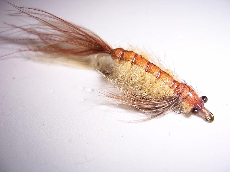 hex nymphs